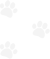 Hart Road Animal Hospital: Top Rated Beaverton Veterinarians